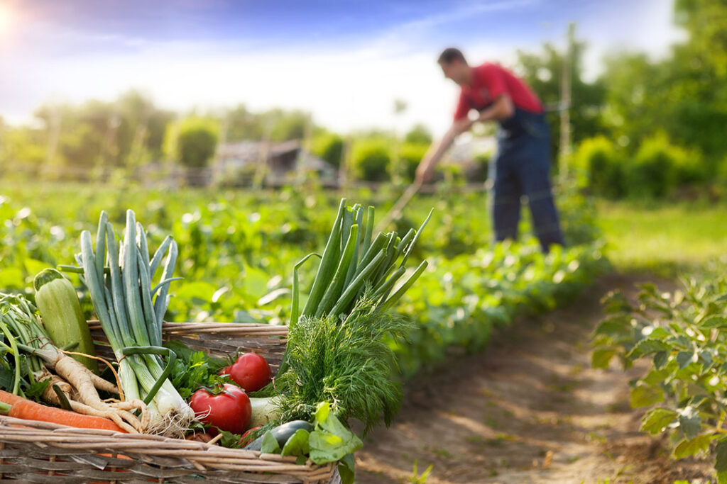 La agricultura sostenible: Beneficios para la salud y el medio ambiente