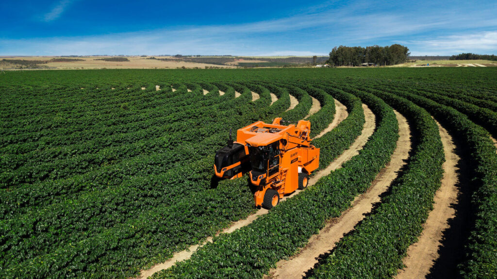 Agricultura de precisión: tecnología al servicio de los cultivos orgánicos