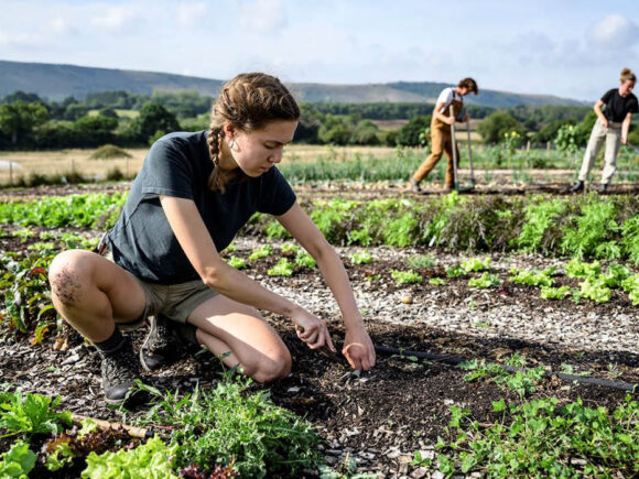 Agricultura regenerativa vs agricultura ecológica: diferencias clave que debes conocer
