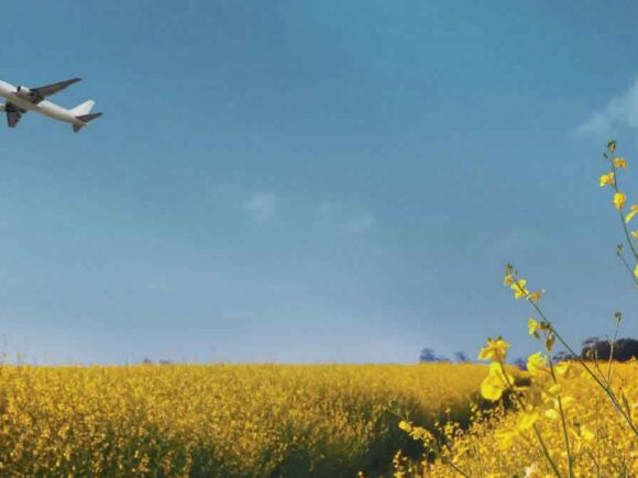 Del campo a la mesa: cómo la trazabilidad mejora la confianza en los productos sostenibles