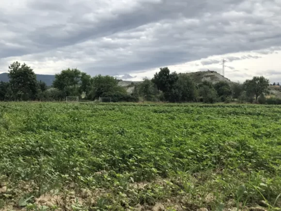 Certificación ecológica en España: cómo obtenerla y qué beneficios aporta a tu marca