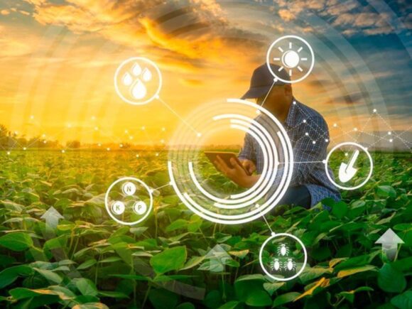 Innovación y sostenibilidad: cómo la tecnología blockchain impulsa la trazabilidad alimentaria