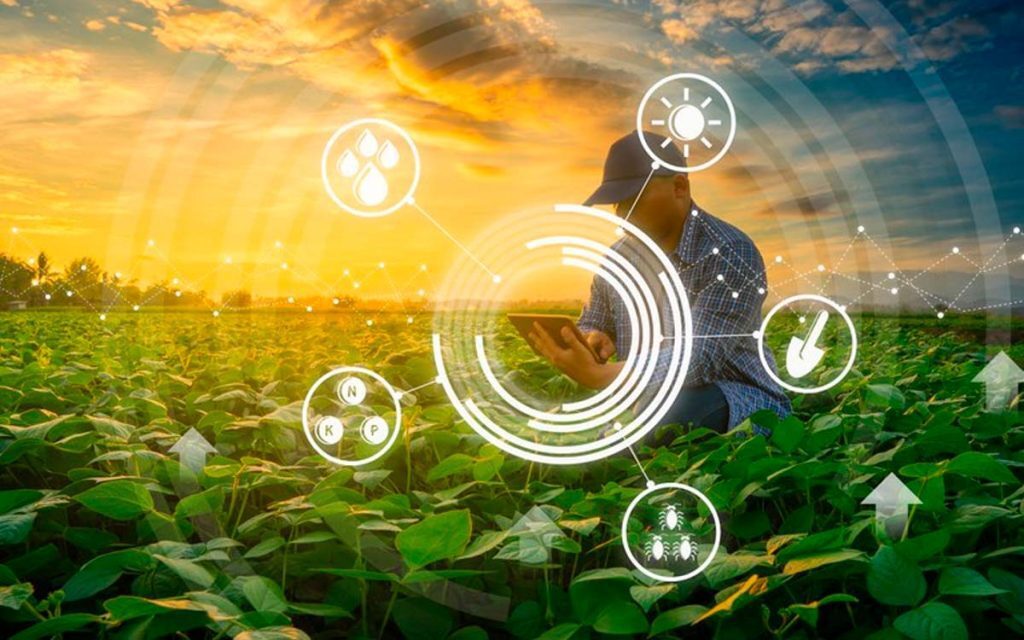 Innovación y sostenibilidad: cómo la tecnología blockchain impulsa la trazabilidad alimentaria