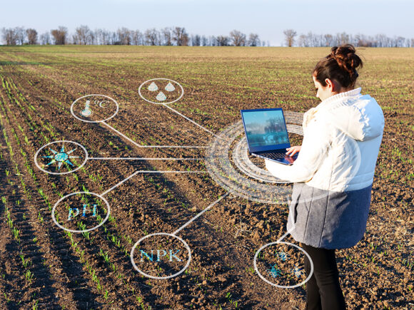 Trazabilidad alimentaria: el papel de la tecnología blockchain en la agricultura ecológica