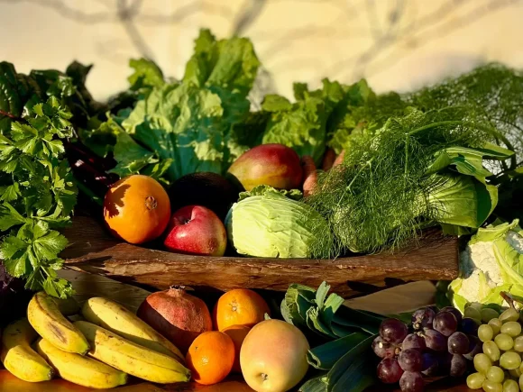 Cómo elegir frutas y verduras ecológicas de calidad: guía para consumidores