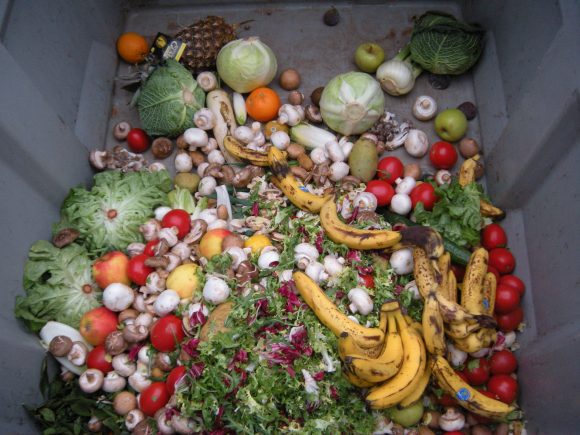 Cómo reducir el desperdicio alimentario desde el campo hasta el consumidor