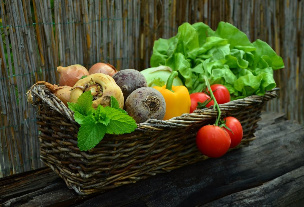 Beneficios del consumo de alimentos ecológicos para niños y familias