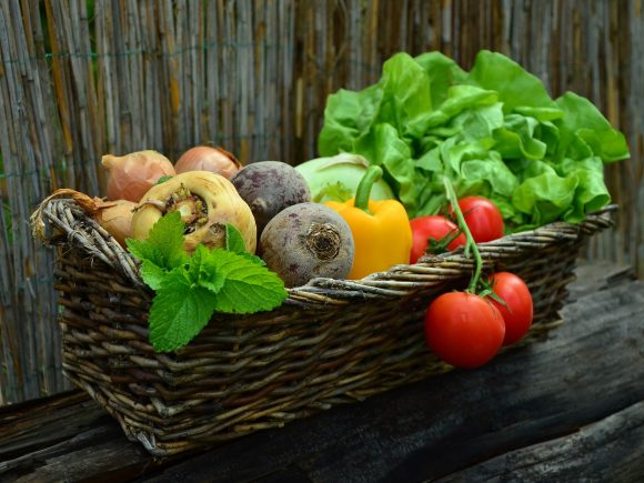 Beneficios del consumo de alimentos ecológicos para niños y familias